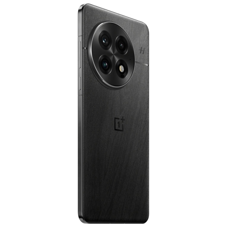 OnePlus 13 PJZ110, 12GB+256GB