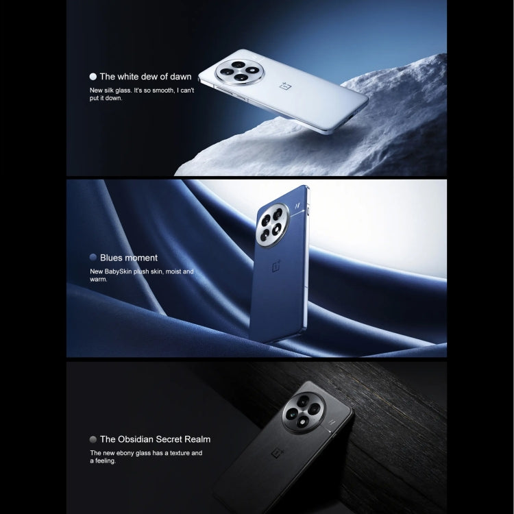 OnePlus 13 PJZ110, 12GB+256GB