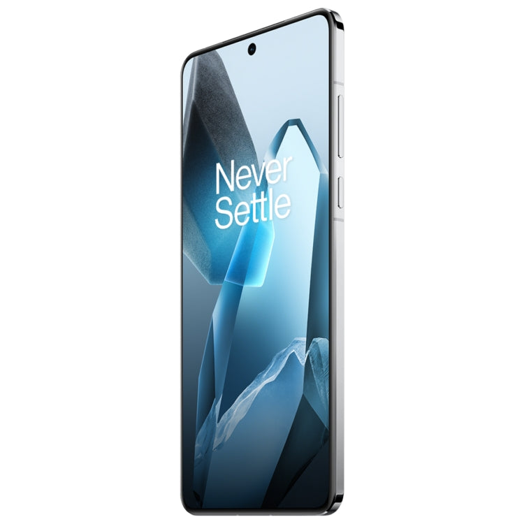 OnePlus 13 PJZ110, 24GB+1TB                             G