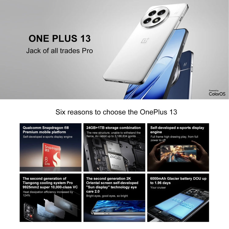 OnePlus 13 PJZ110, 24GB+1TB                             G